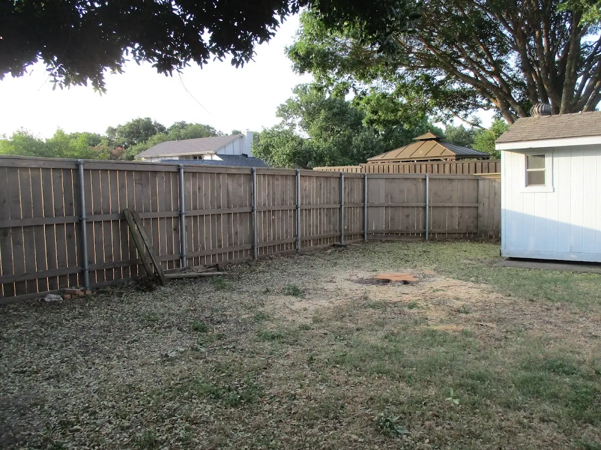 Cleared yard after professional tree removal in Bridger
