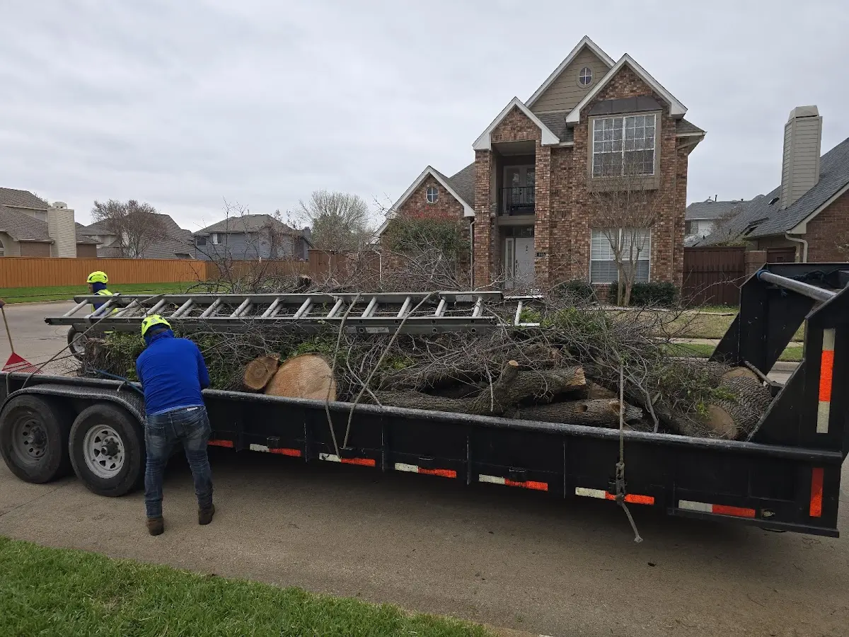 Expert Tree Fertilization with proper safety equipment in Bridger